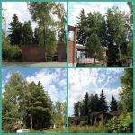 Kärjenmetsä